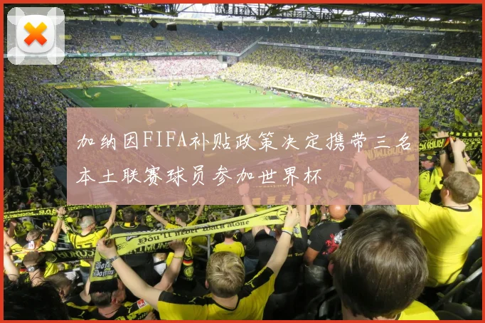 加纳因FIFA补贴政策决定携带三名本土联赛球员参加世界杯